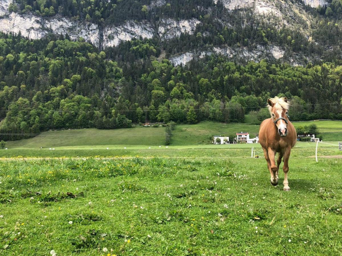 Haflingerhof Villa Kramsach Luaran gambar